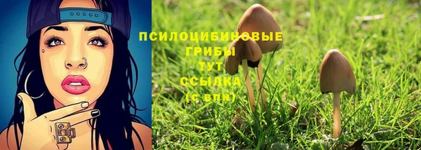 spice Сатка