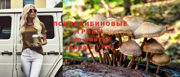 стаф Саяногорск