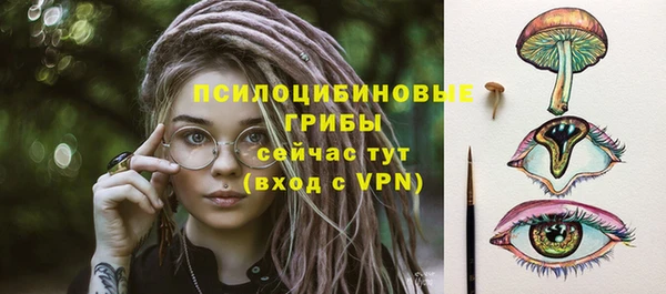 стаф Саяногорск